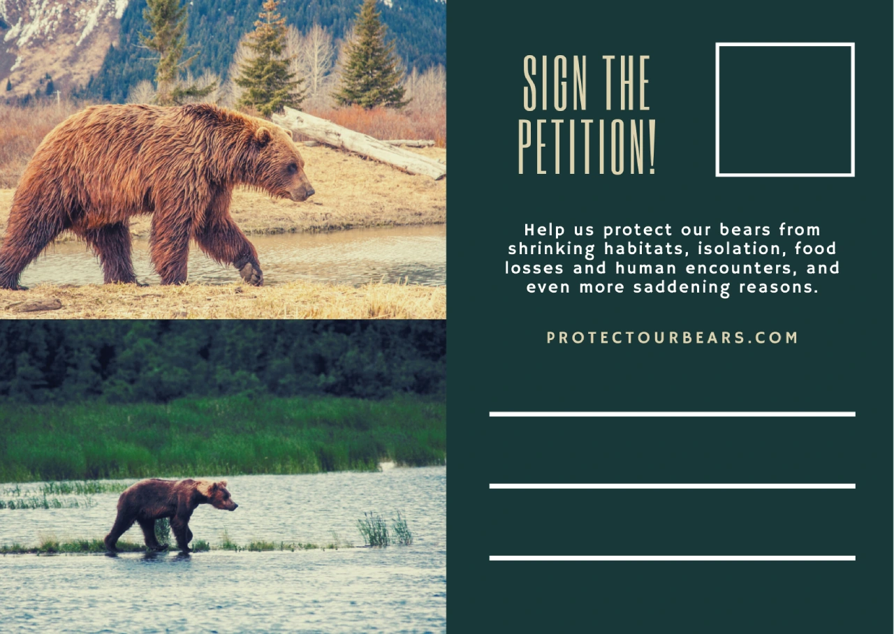 Dark-Green-Grizzly-Bear-Protection-Direct-Mail-Postcard-1